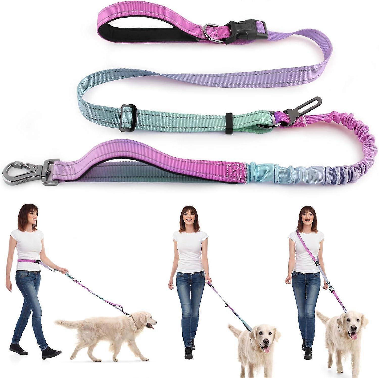Ultra-Durable Hands-Free Dog Leash with Shock Absorbing Bungee - Dual Handle Design for Large Breeds (Blue/Pink)