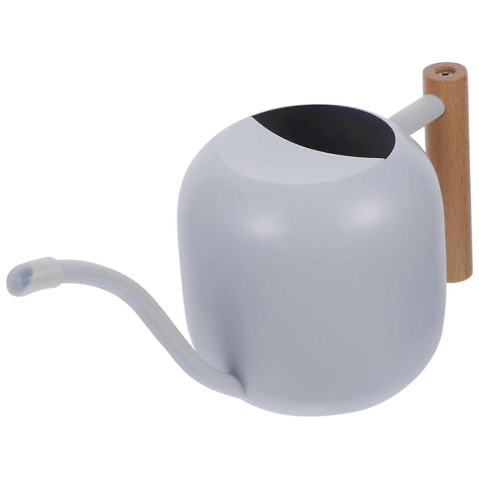Long Spout Watering Can Use Ergonomic Handle 29X10CM 1Pack