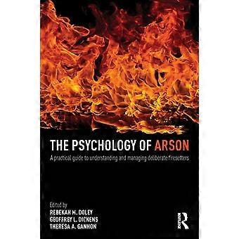 The Psychology Of Arson A Practical Guide To Understanding And Managing Delibera - Taylor & Francis Ltd