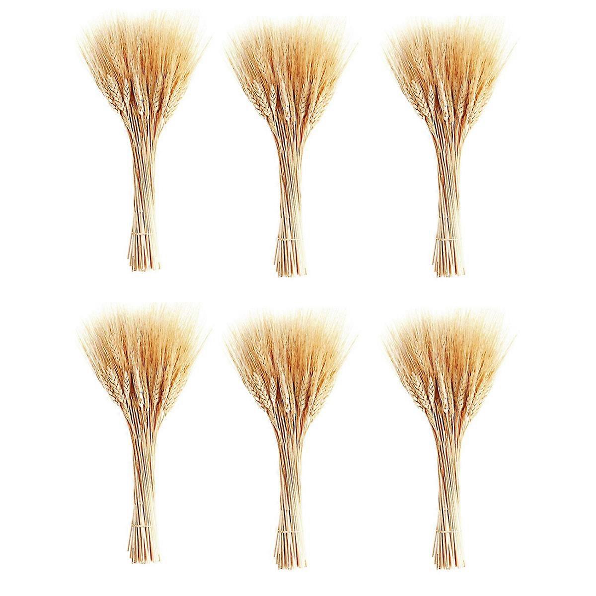 Dried Wheat Stalks, 300 Stems Wheat Sheaves for Decorating Wedding