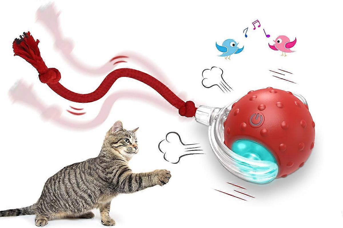 Chirping and Motion Activate Interactive Cat Toy Ball for Indoor