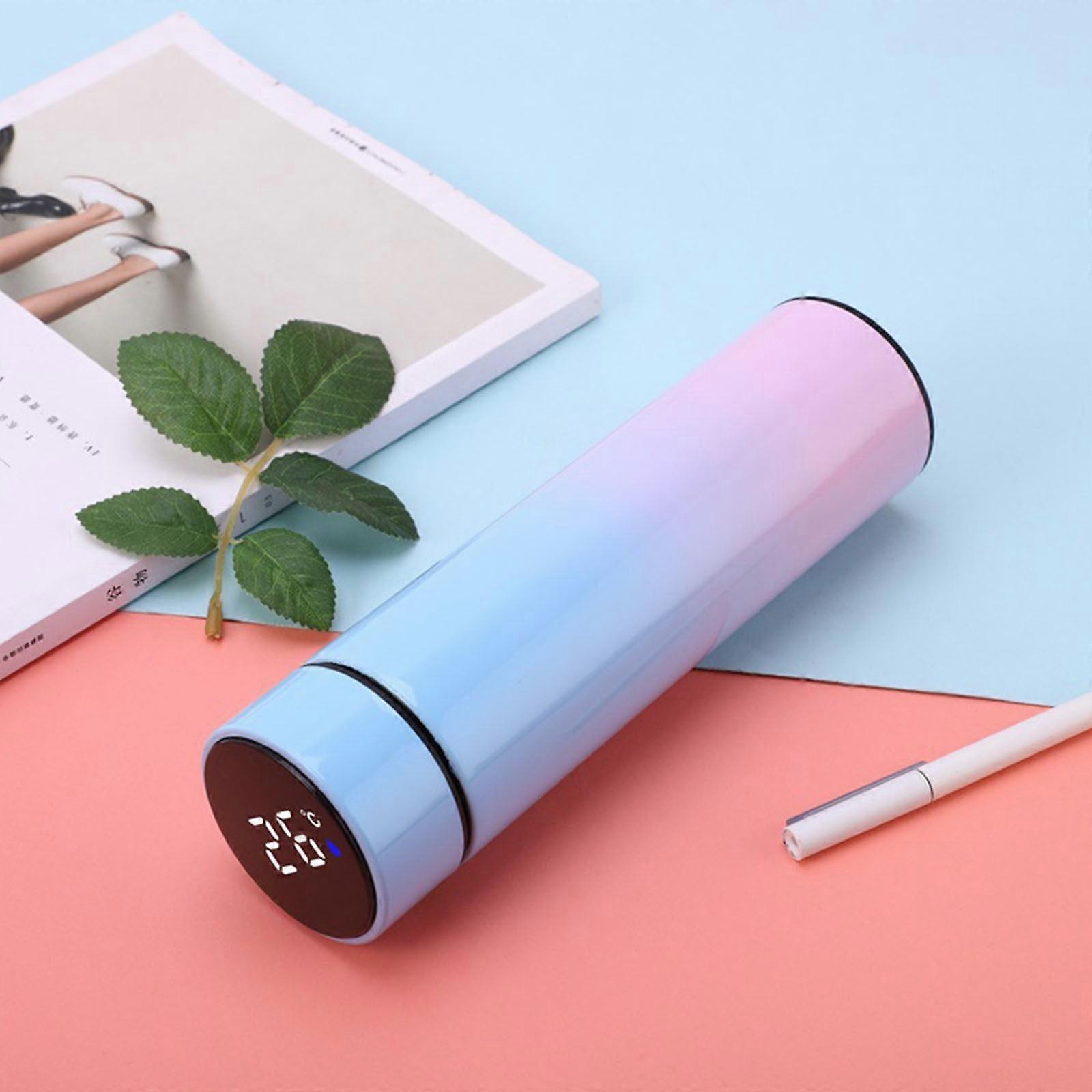 WJSXC Stainless Steel Vacuum Flask Smart Kettle LCD Screen Display Temperature Cup Bottle D