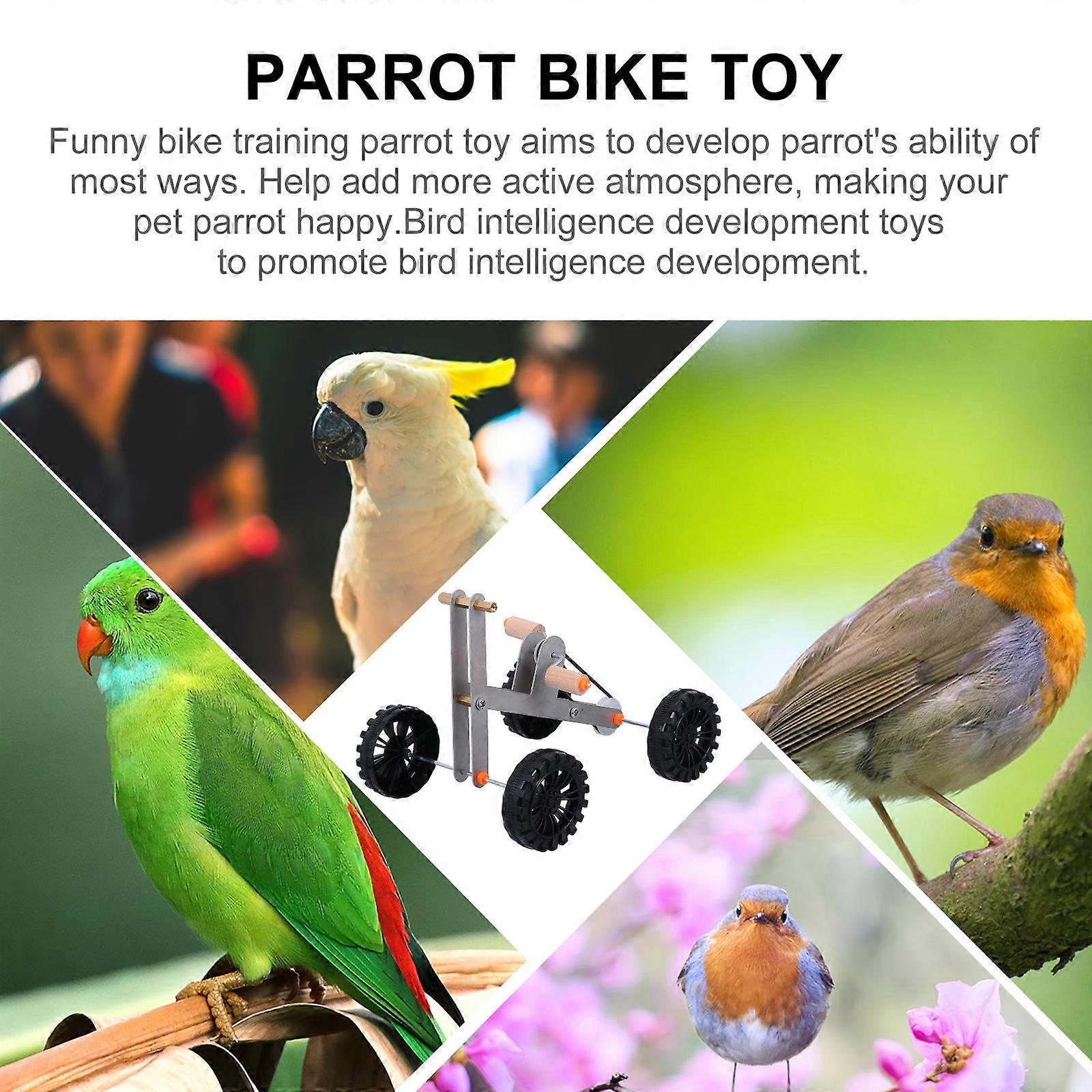 Parrot Game Toy Bird Training Bike Toy for Bird Playing