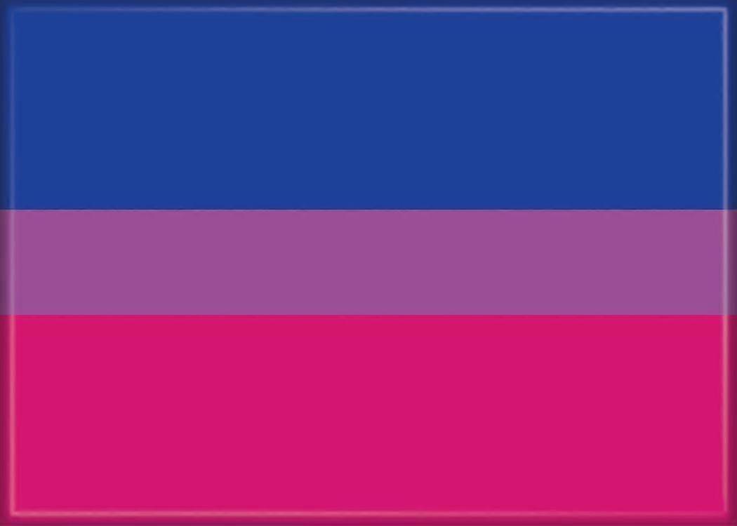 Bisexual Flag Qi 1600