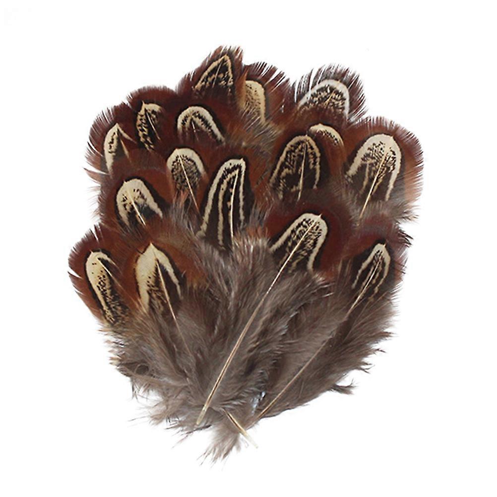 Light Brown Pheasant for DIY Decor 100Pcs Natural