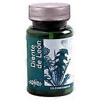 Dandelion 100 tablets