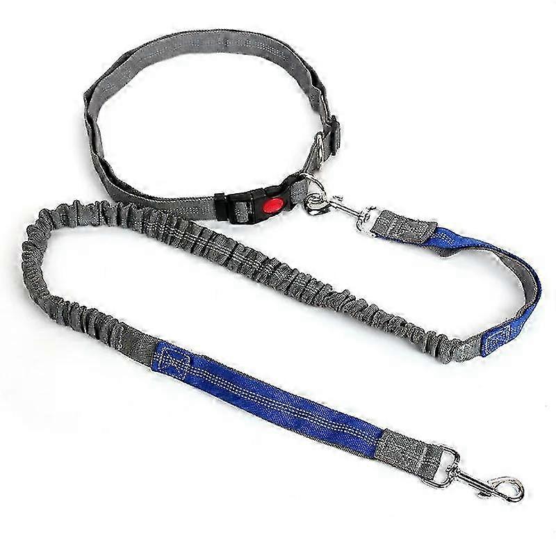 Water-Resistant Hands-Free Leash