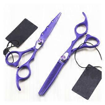 Stainless Steel Hair Cutting Scissors Set 6 Inch Barber Thinning Scissors