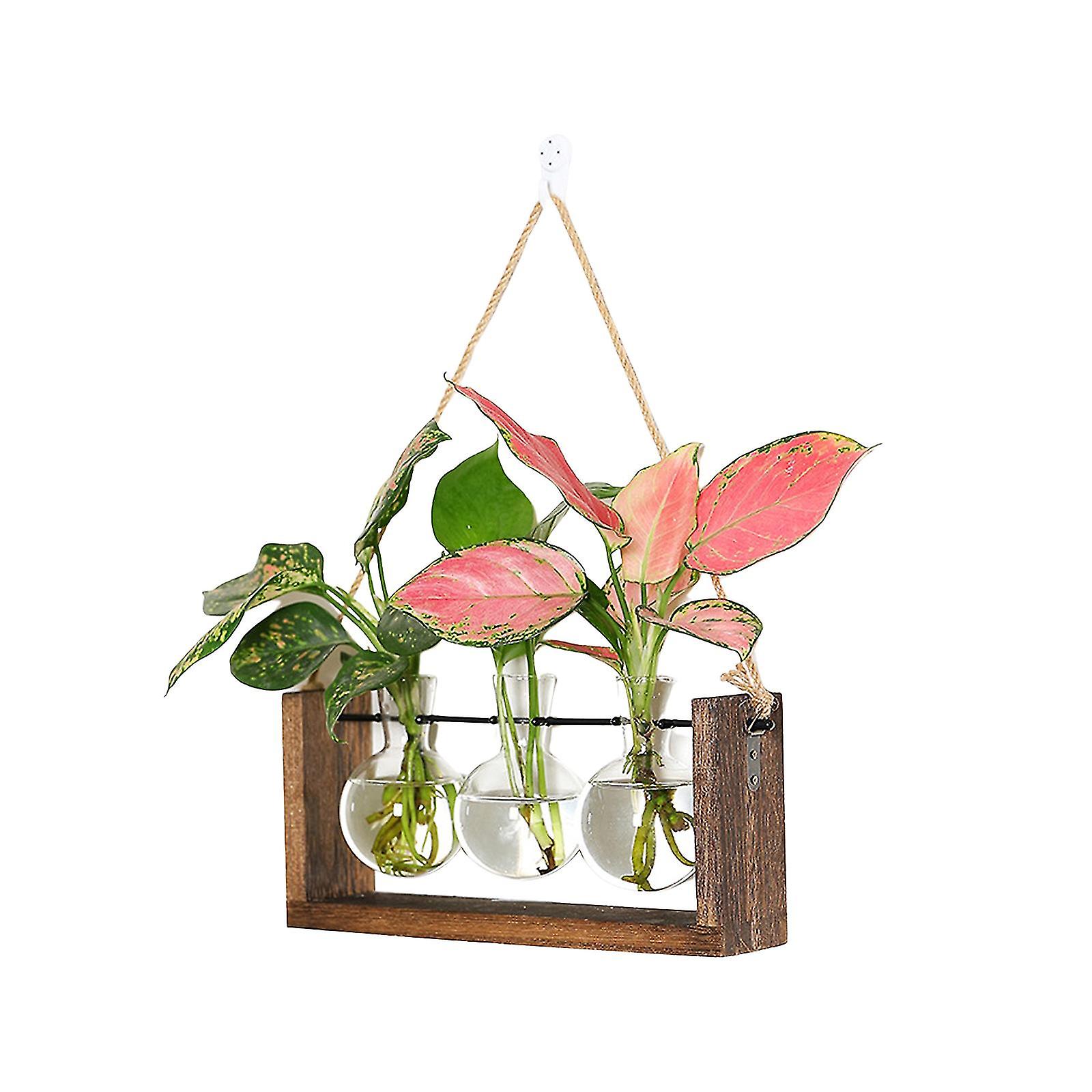Plant Terrarium With Wooden Stand,wall Hanging Glass Planter Tabletop