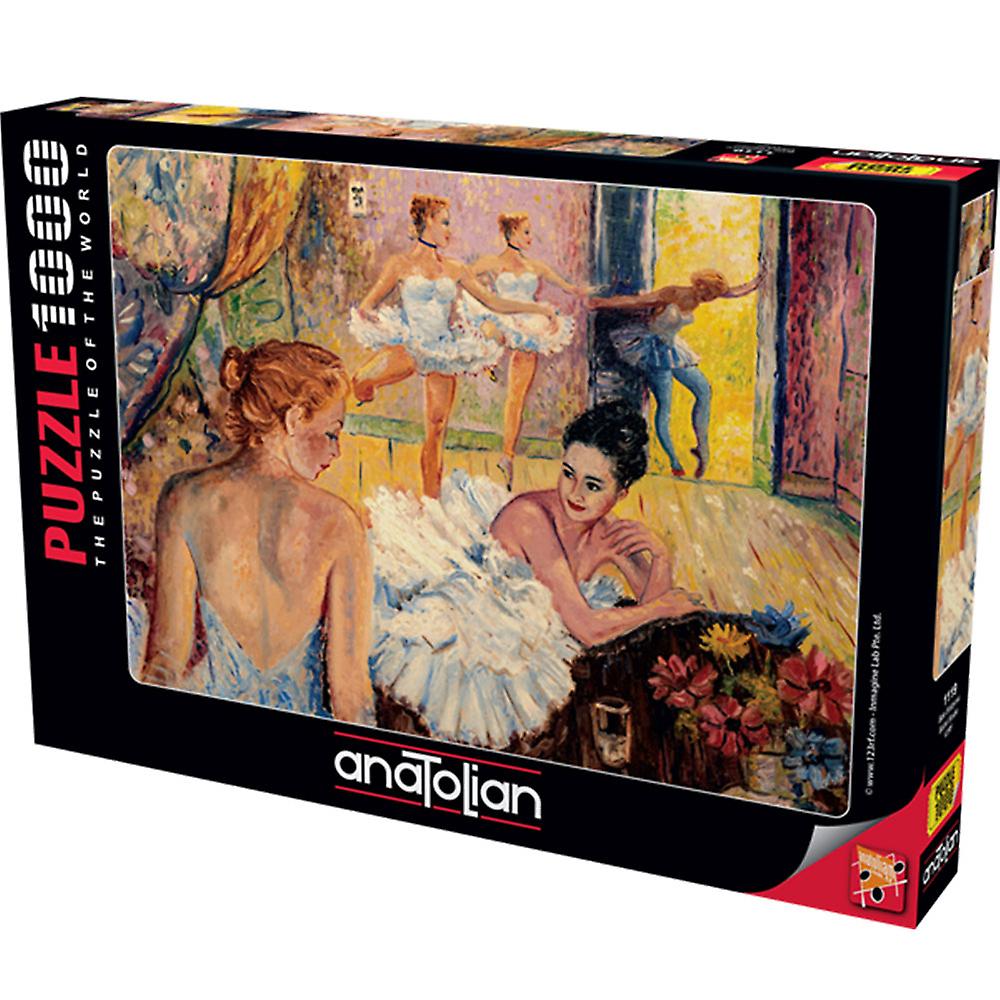 Anatolian the Puzzle Of the World Ballet Studio 1000 Pieces Jigsaw Puzzle