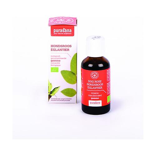 rosehip 50 ml