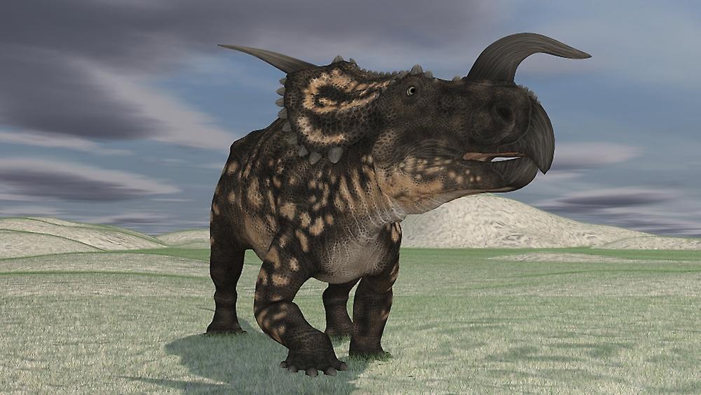 Brown Einiosaurus walking across an open field. Poster