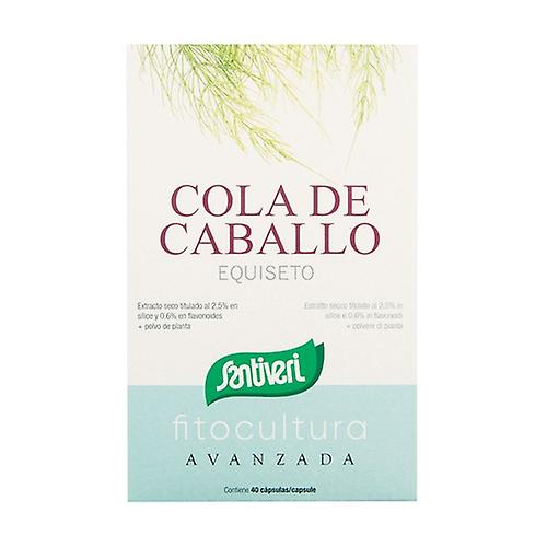 Phytoculture Horsetail capsules 40 capsules