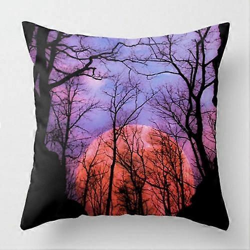 Print Pillowcase Sofa Cushion Cover Design Style -808