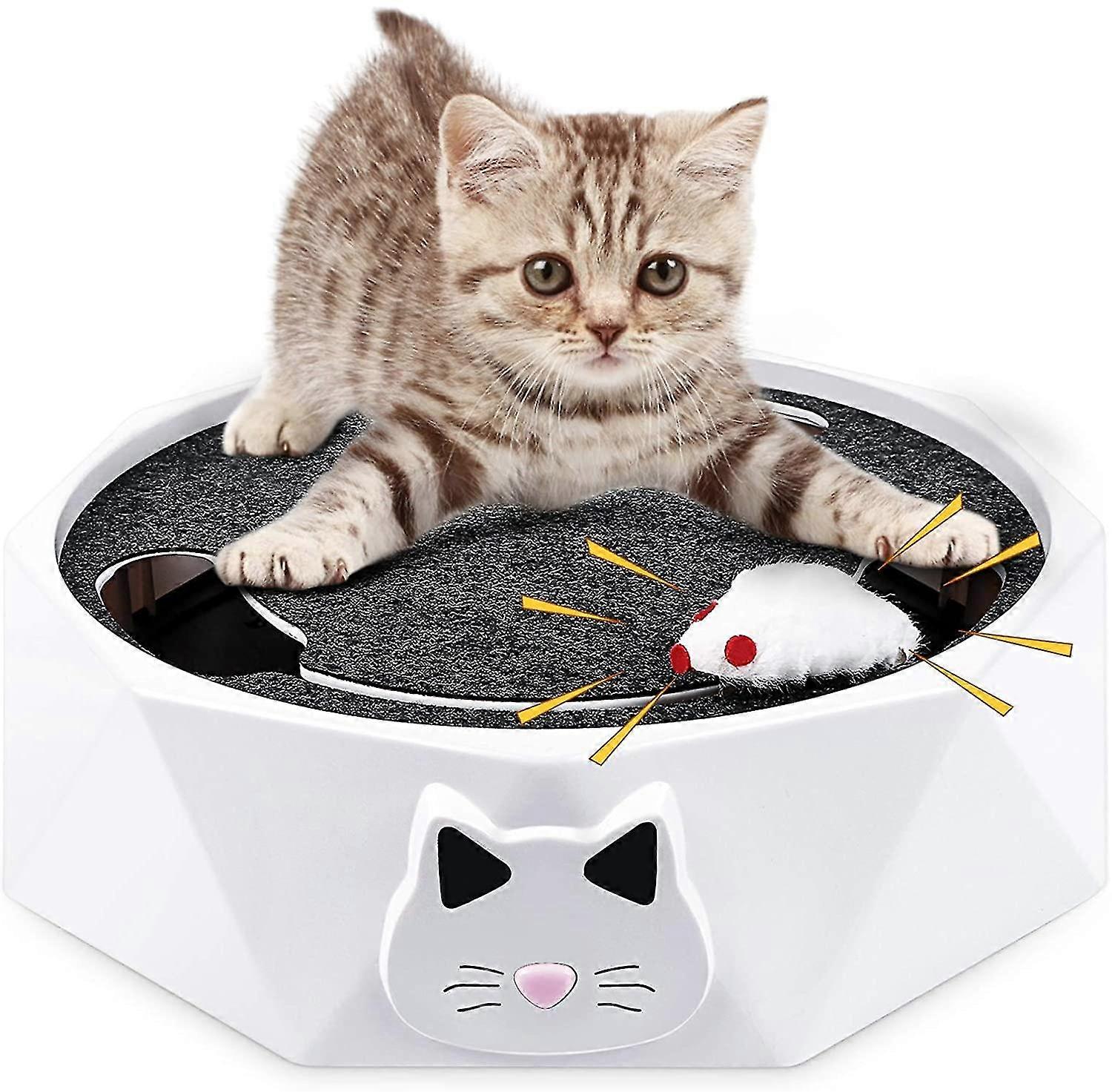 Cat Toy With Running Mouse Interactive Electronic Squeaky Mouse Kitten Toy