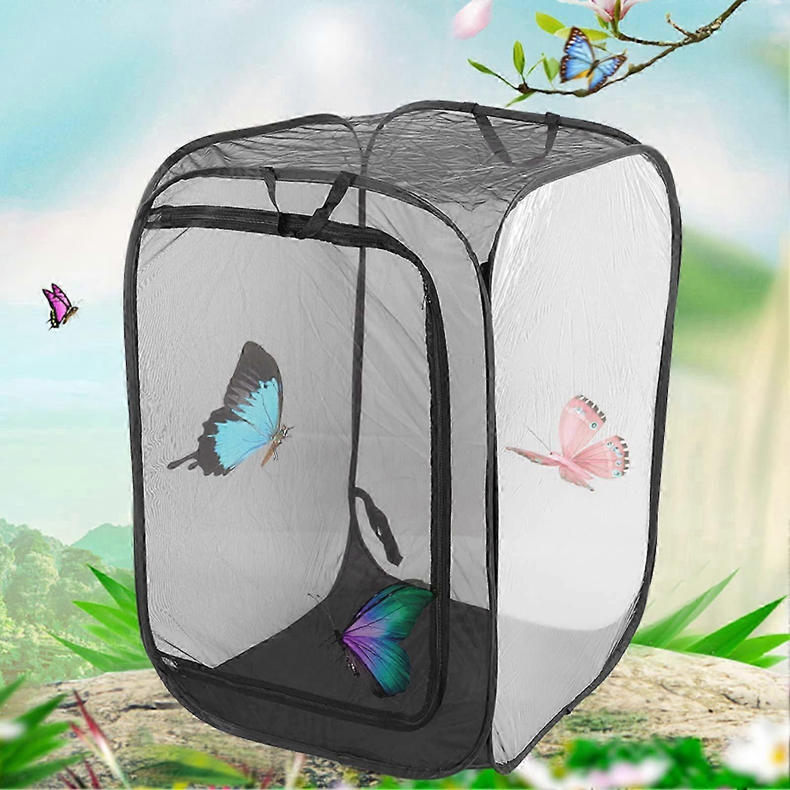 Folding Insects cage, Foldable Stick Cage, Cloth Insects Mesh Cage ...
