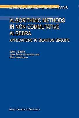 Algorithmic Methods in Non-Commutative Algebra