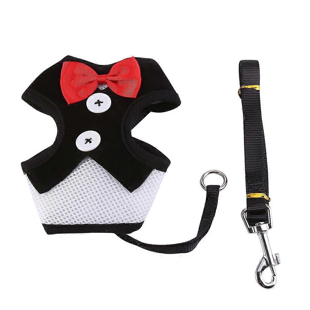 Breathable Puppy Harness Set: Teddy Vest with Lead Leash for Dog Walking