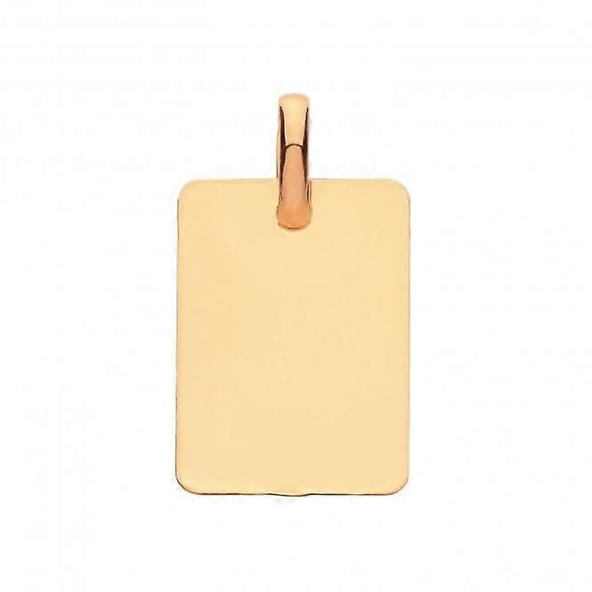 9ct Yellow Gold Rectangular Plain Pendant PN1076