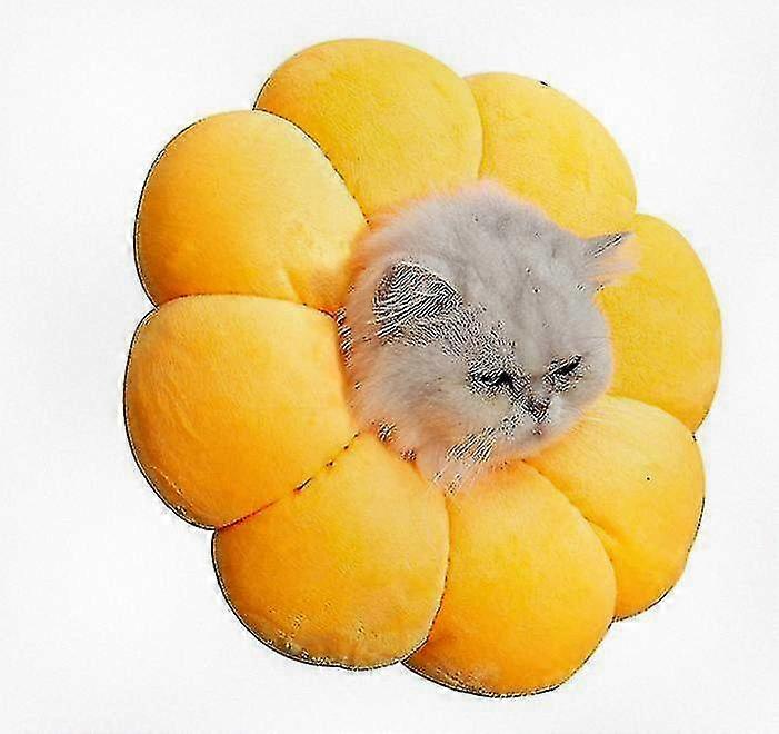 Soft Flower Pet Cone Collar for Cats and Dogs to Prevent Licking and Biting