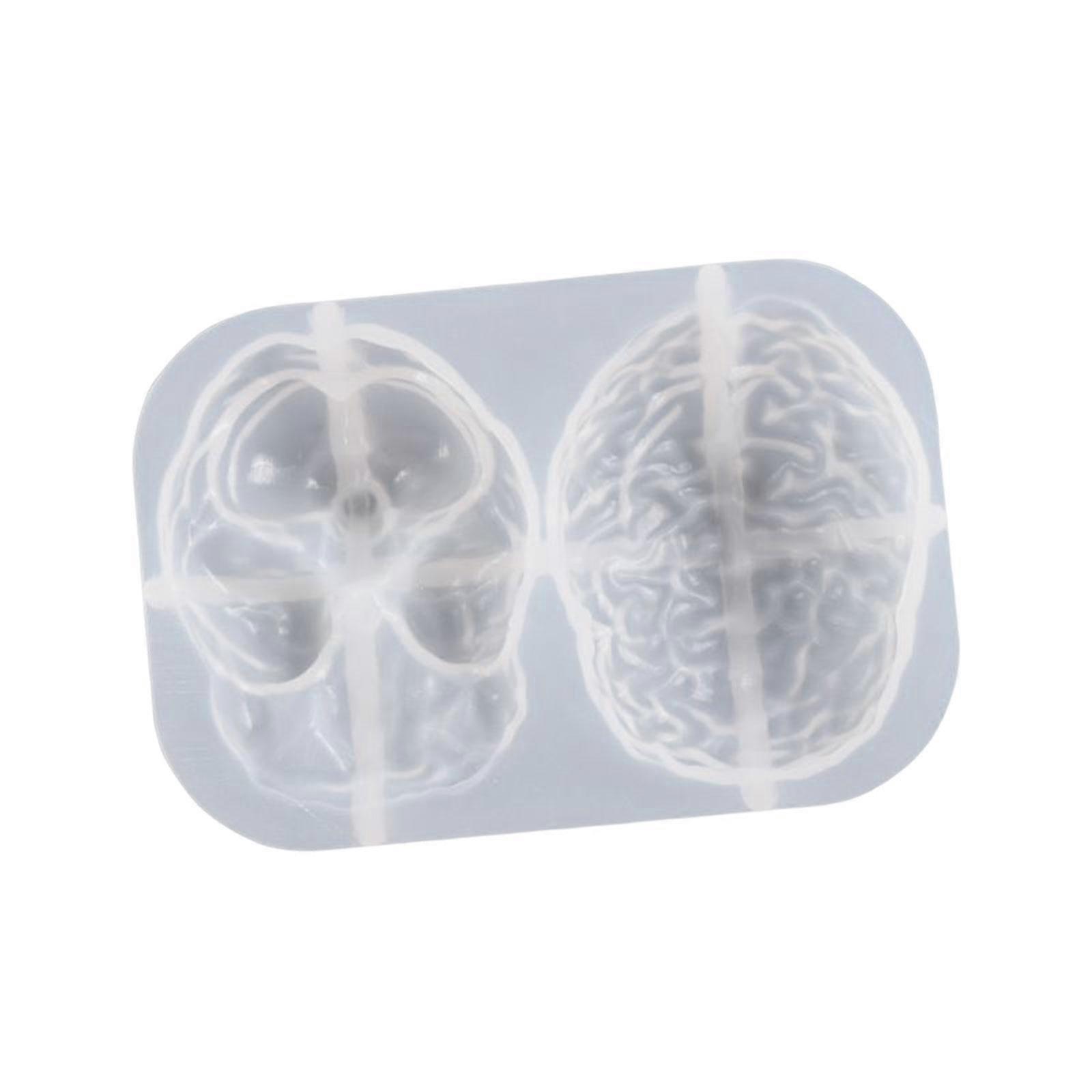 DIY Organs Fondant Model Baking Tools Decorative Ornament Casting Tools for Cake