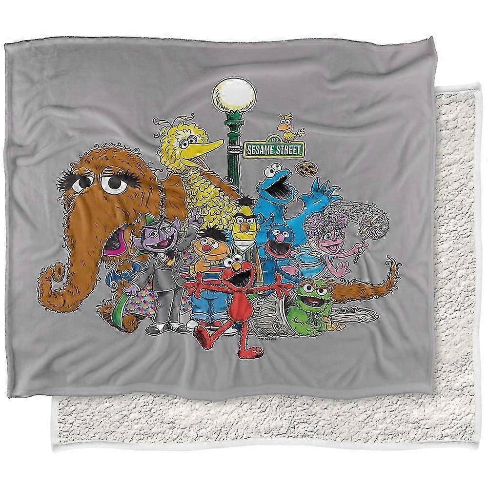 Soft Sherpa Back Throw Blanket, Suitable for Sesame Street