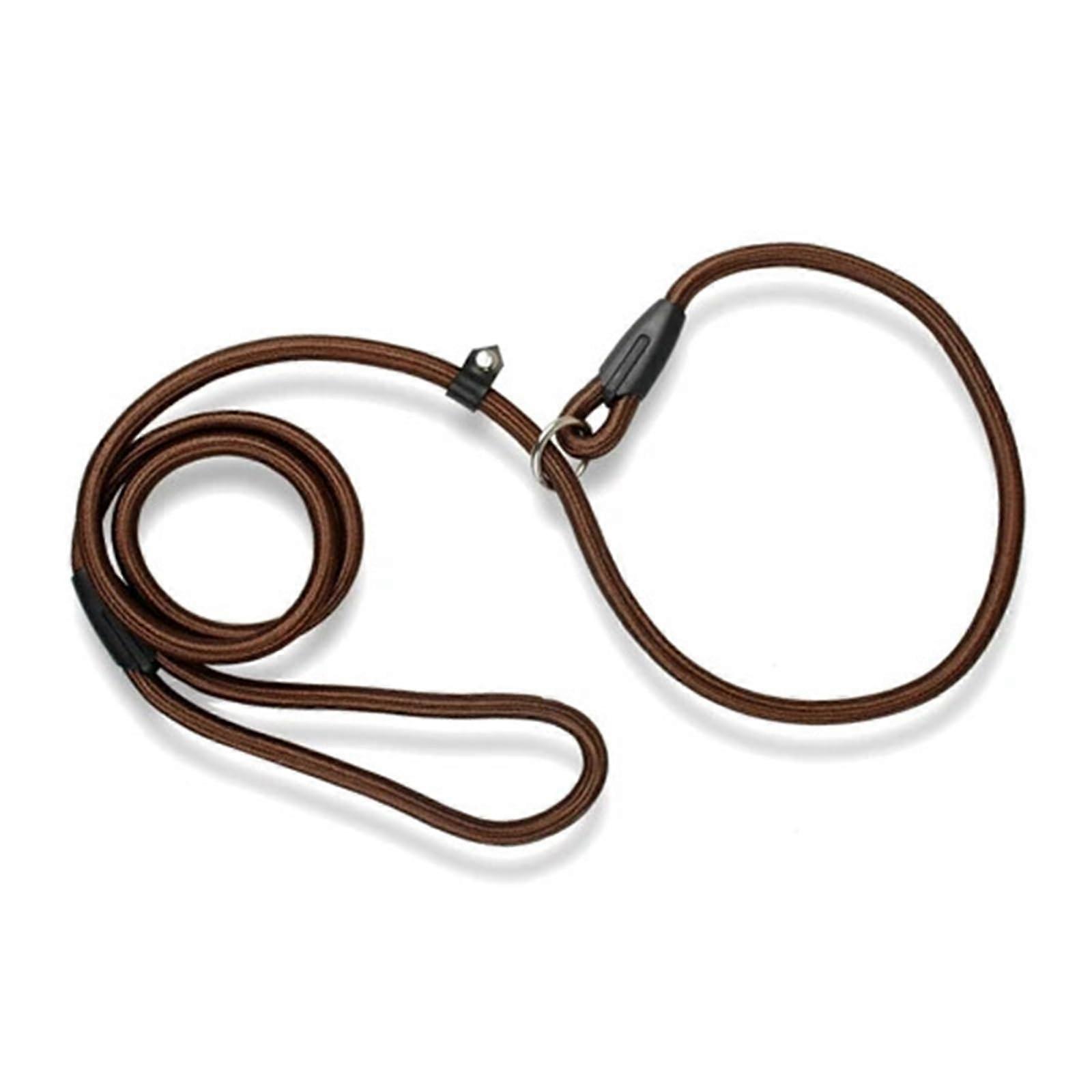 Nylon Dog Leash, Adjustable P-Shape Training Lead, Blue 2, Size M, Nylon Material