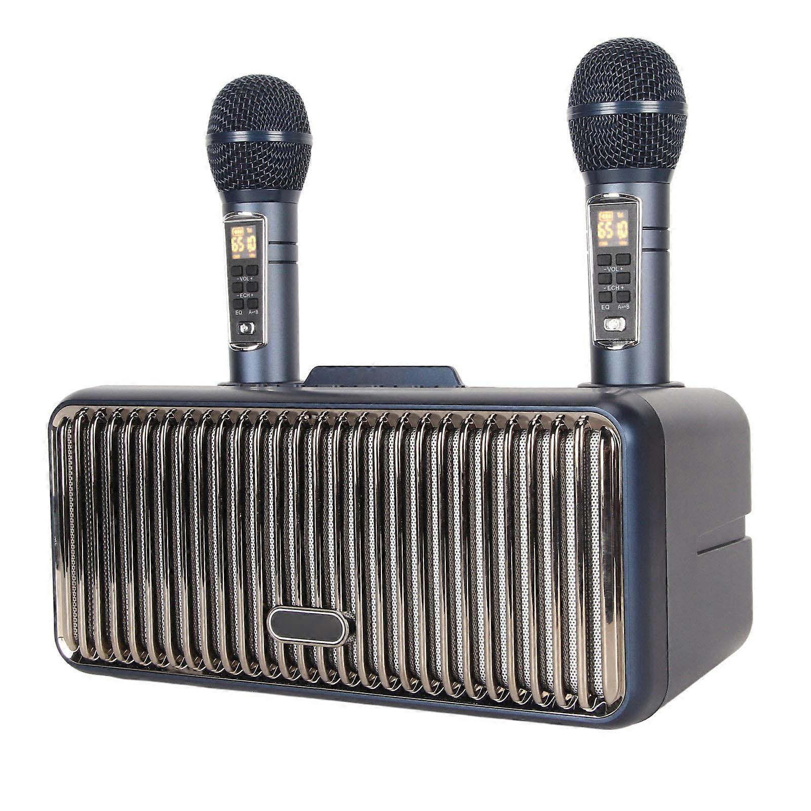 Portable Karaoke Speaker System with RGB Lights & 2 Wireless Mics