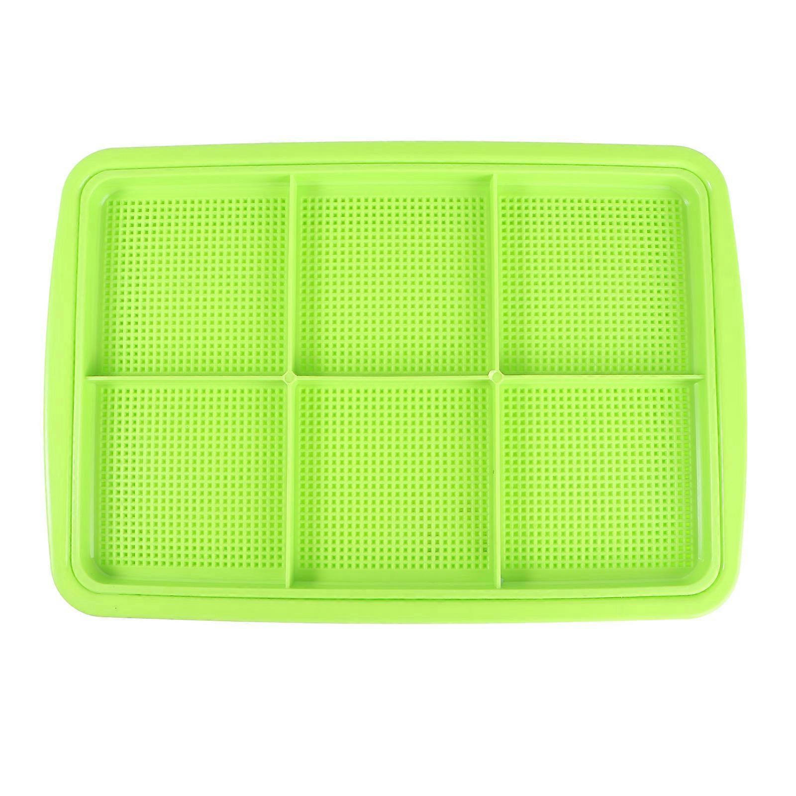 Sprouter Tray Double Layers Green for Growing 3Pcs Healthy Wheatgrass Grower