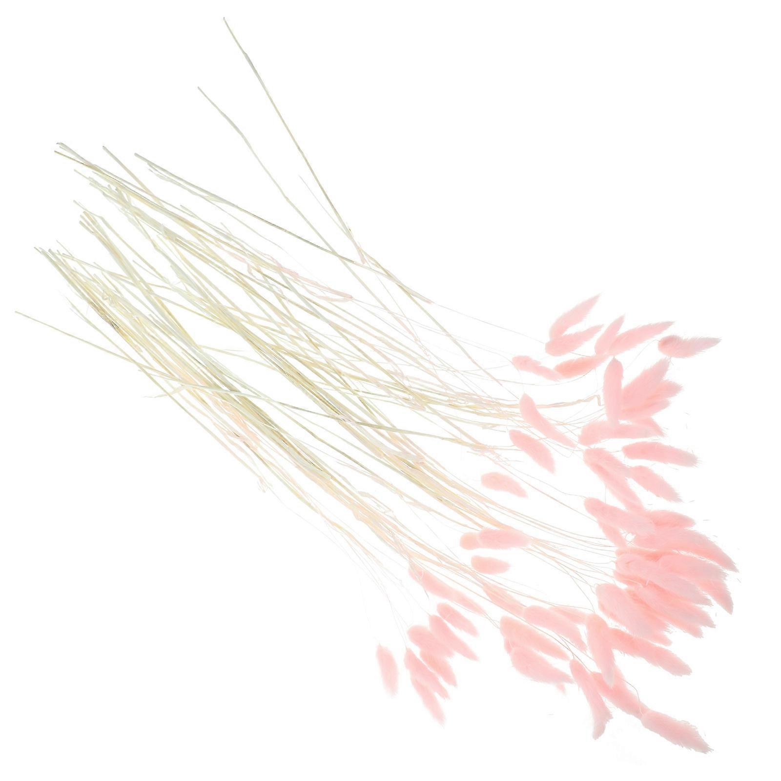 Pink Natural Dried Rabbit Tail Grass for DIY Decoration 360Pcs Bundle