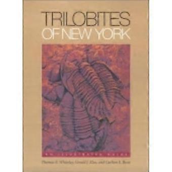 Trilobites of New York: An Illustrated Guide