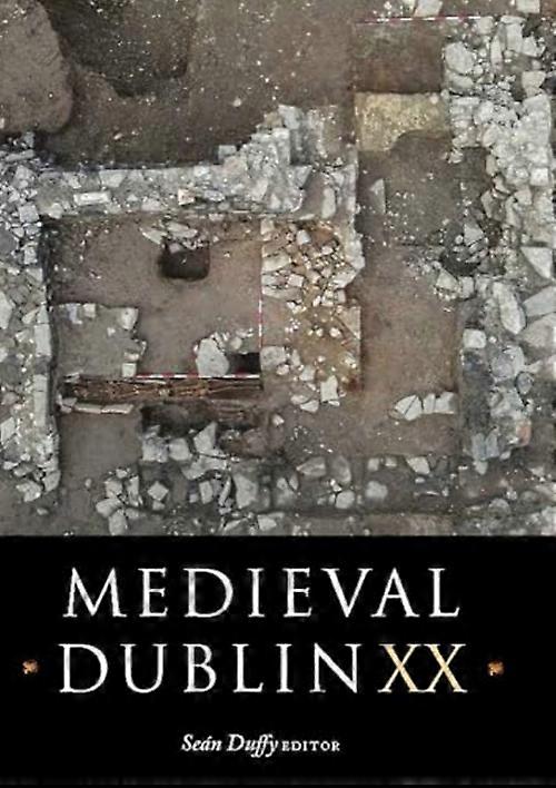 Medeltida Dublin XV
