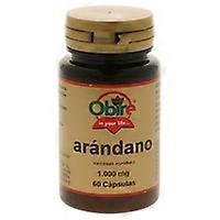 Blueberry 60 capsules