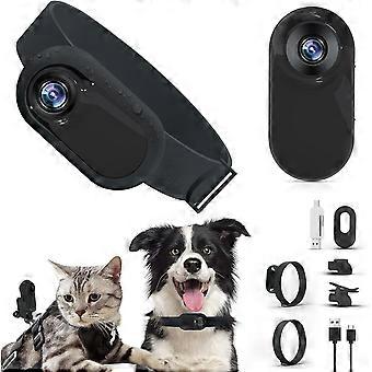 Collar de cámara para gatos, cámara inalámbrica para perros HD 1080p, cámara de acción deportiva Collar rastreador de gatos Suministros para mascotas de seguridad para perros y gatos