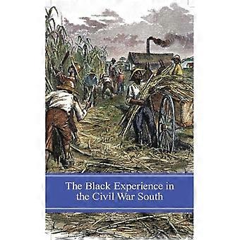 A Experiência Negra no Sul durante a Guerra Civil - Stephen Ash - Capa dura - Livro em inglês - História