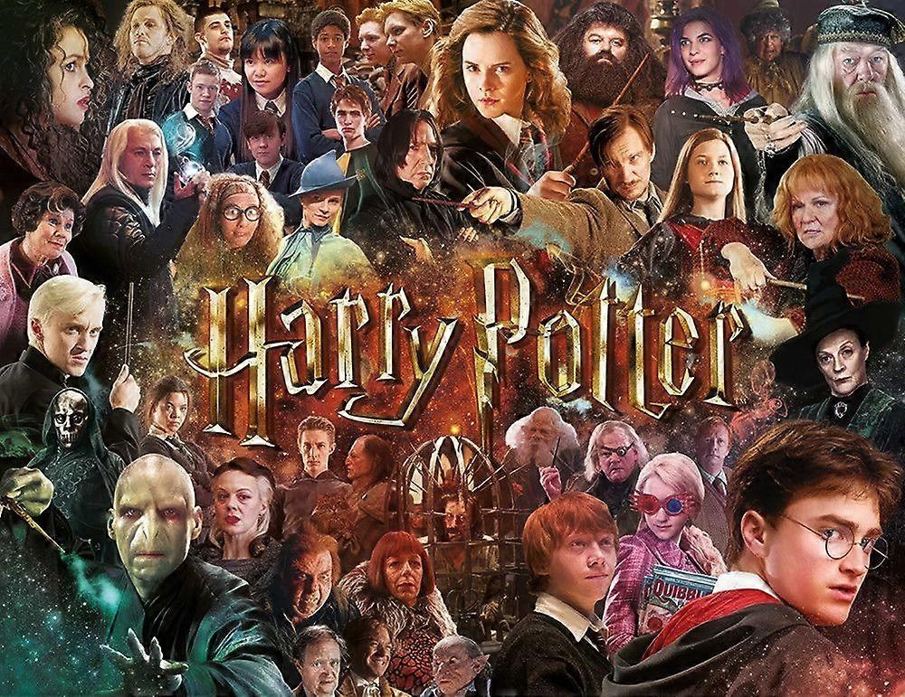 Quebra-cabeças de Harry Potter FDN373