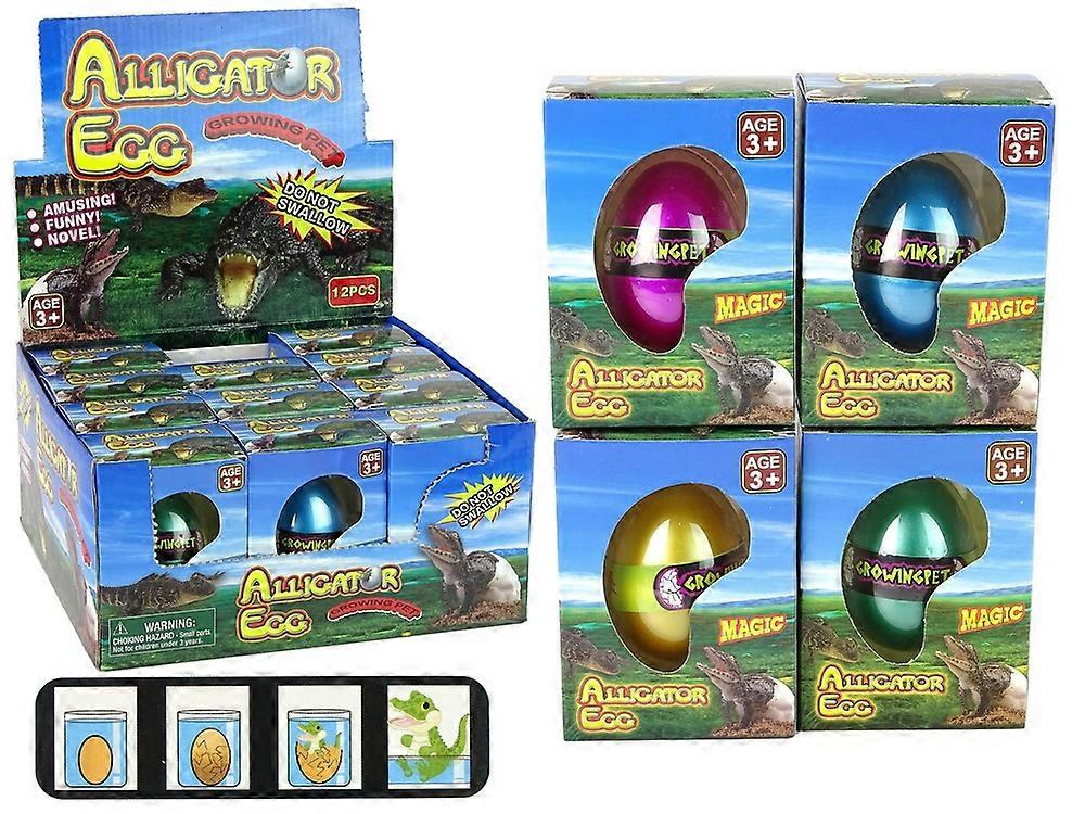 Watch your alligator egg hatch and grow in 72 hours!