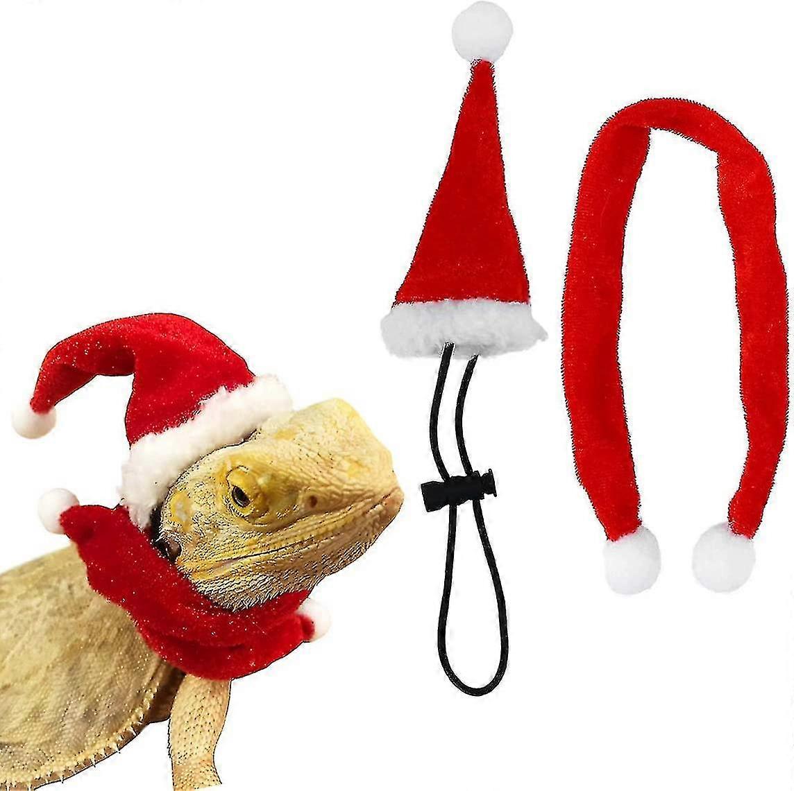 Ed Lizard Santa Hat With F Costume Set