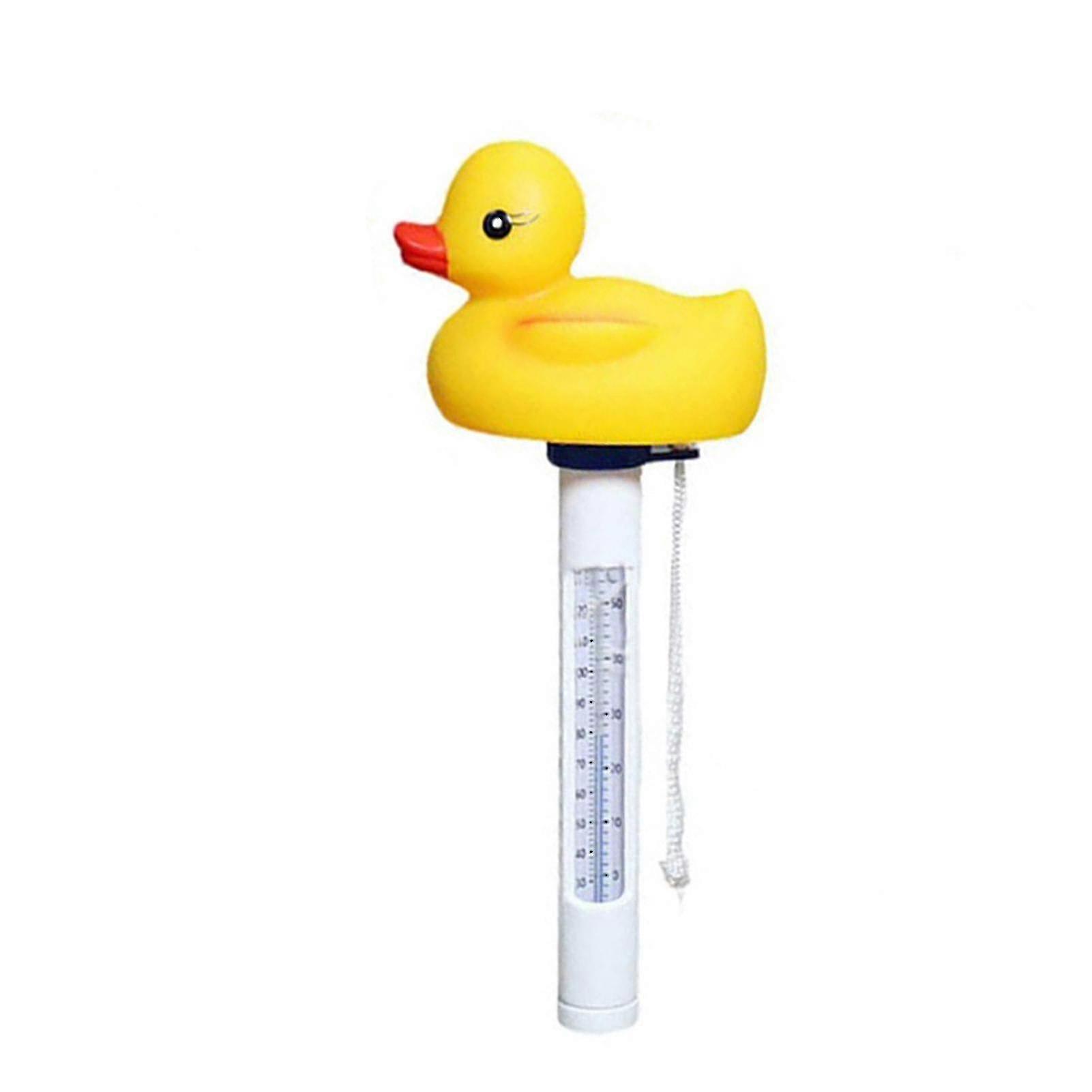 Lar Floating Pool Temperature S With String For Outdoor