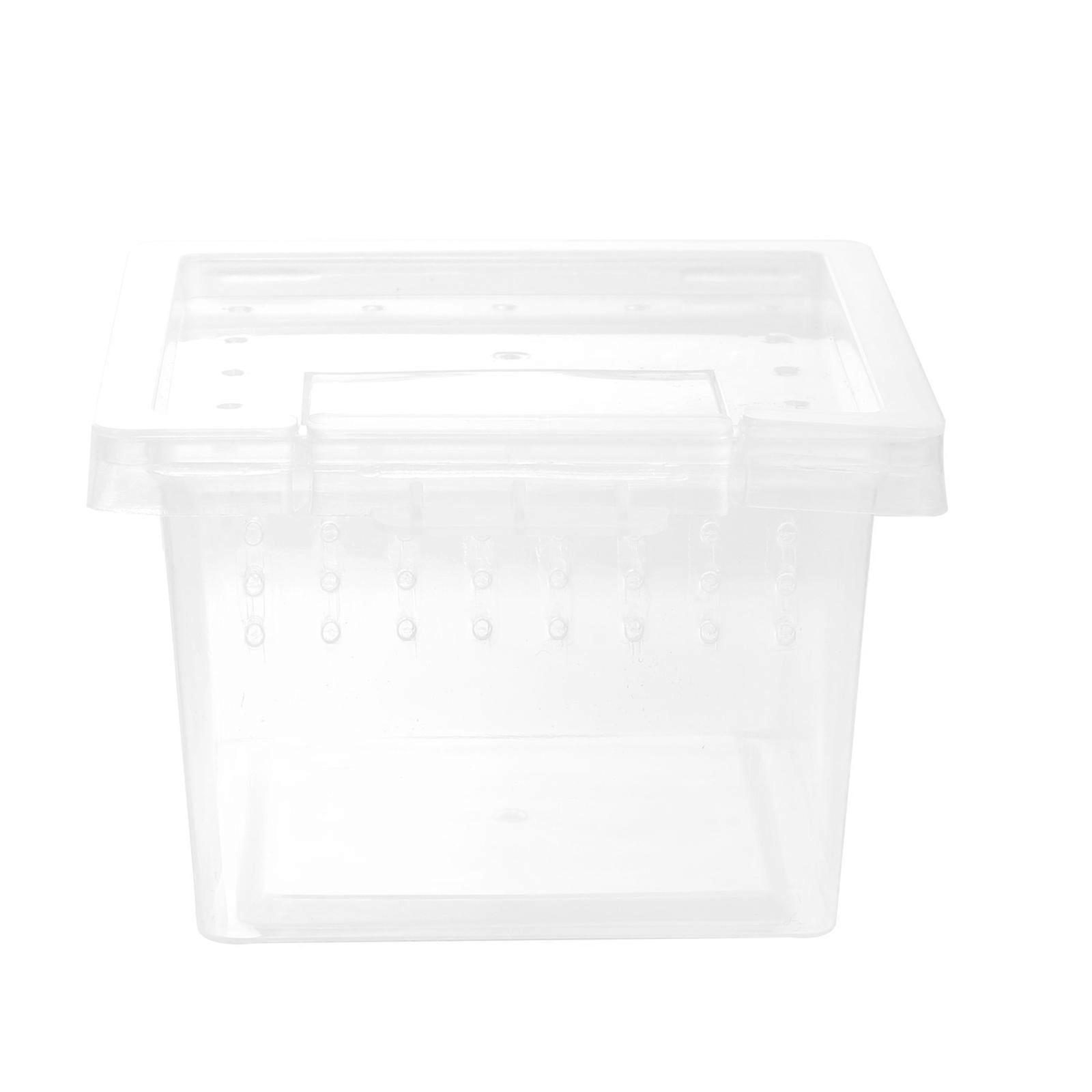 Reptisoil Feeding Box Διαφανές Reptile Tank Lizing Container Reptile Habitat