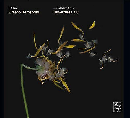 Georg Philipp Telemann Telemann Ouvertures 8 CD (2013) NEW