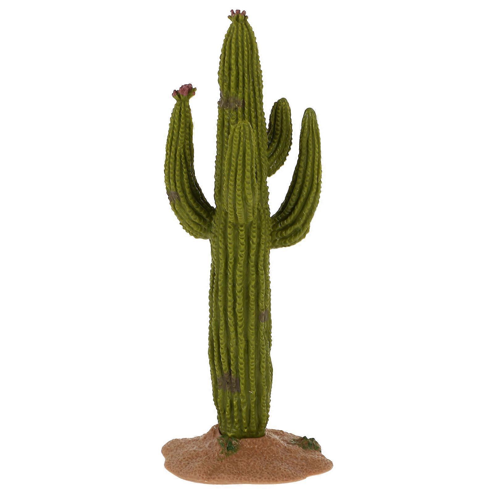 Miniature Cacti, Enhance Your Sandbox with Ease