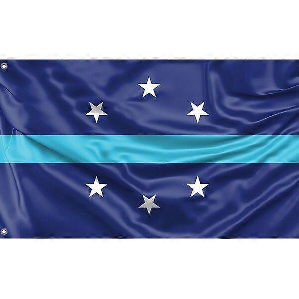 Flagget til Anaheim, California FG400