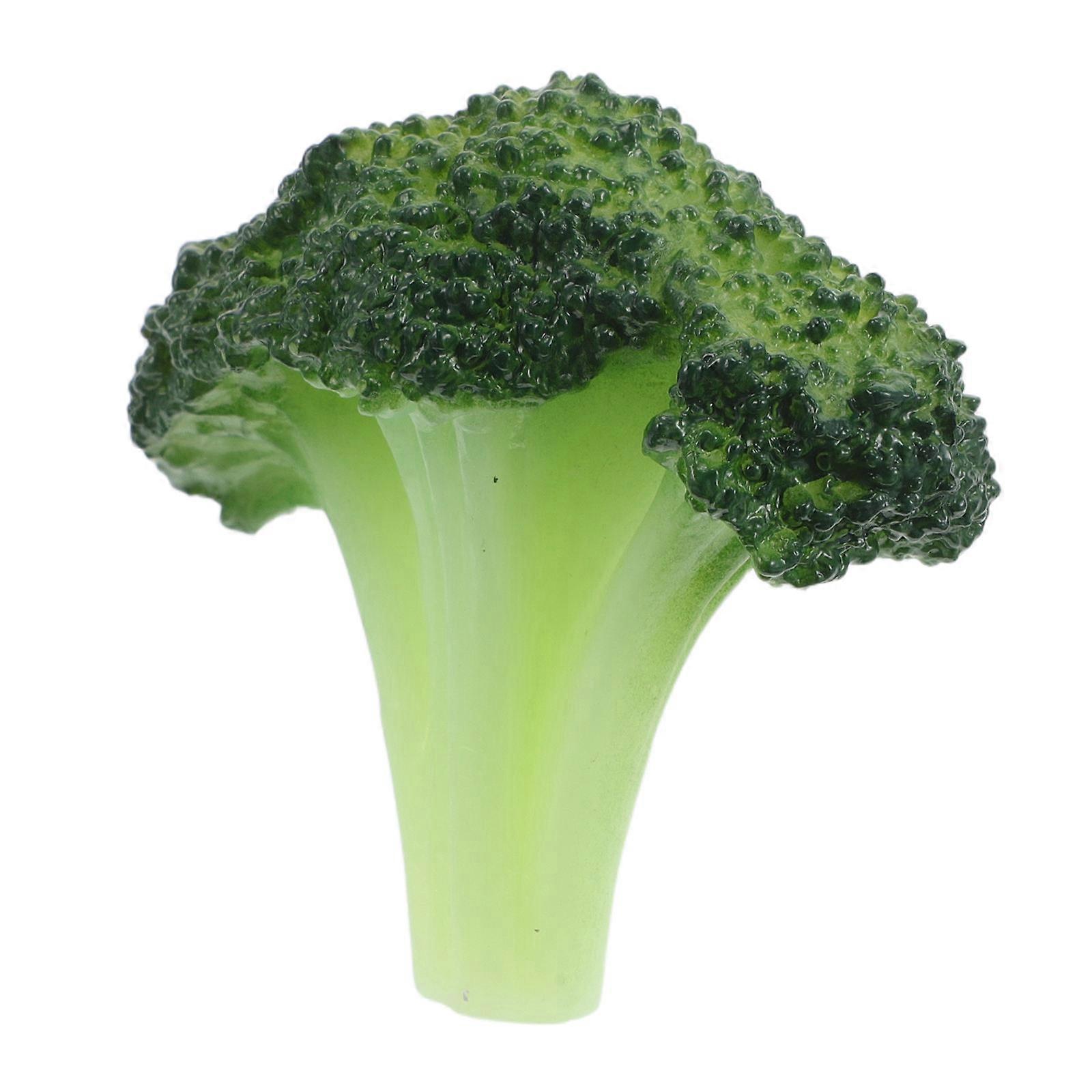 Freckle Makeup Tool Broccoli Stamp for Easy Blending 3Pcs Set