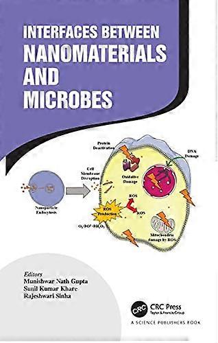 Interfaces Between Nanomaterials and Microbes