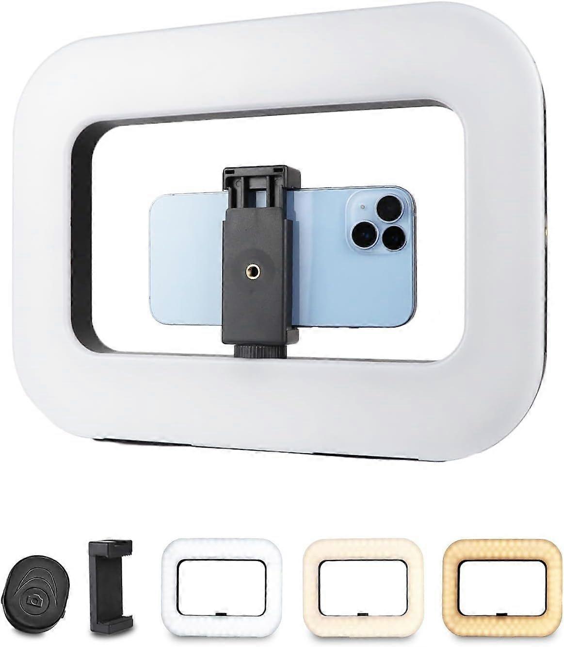 Smartphone Video Rig with Light, Handheld Ring Selfie Light Kit, LED Mobile Video Stabilizer