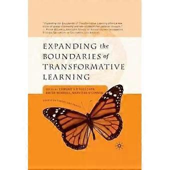 Expanding The Boundaries Of Transformative Learning Essays On Theory And Praxis - Springer Nature B.V