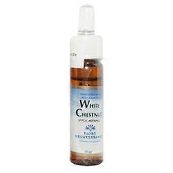 FM White Chestnut (Horse Chestnut) 10 ml of floral elixir