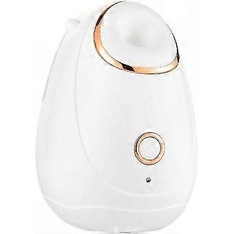 Facial Humidifier Face Steamer, 180ml Nano Hot Mist Steam Sprayer for Skin Moisturizing