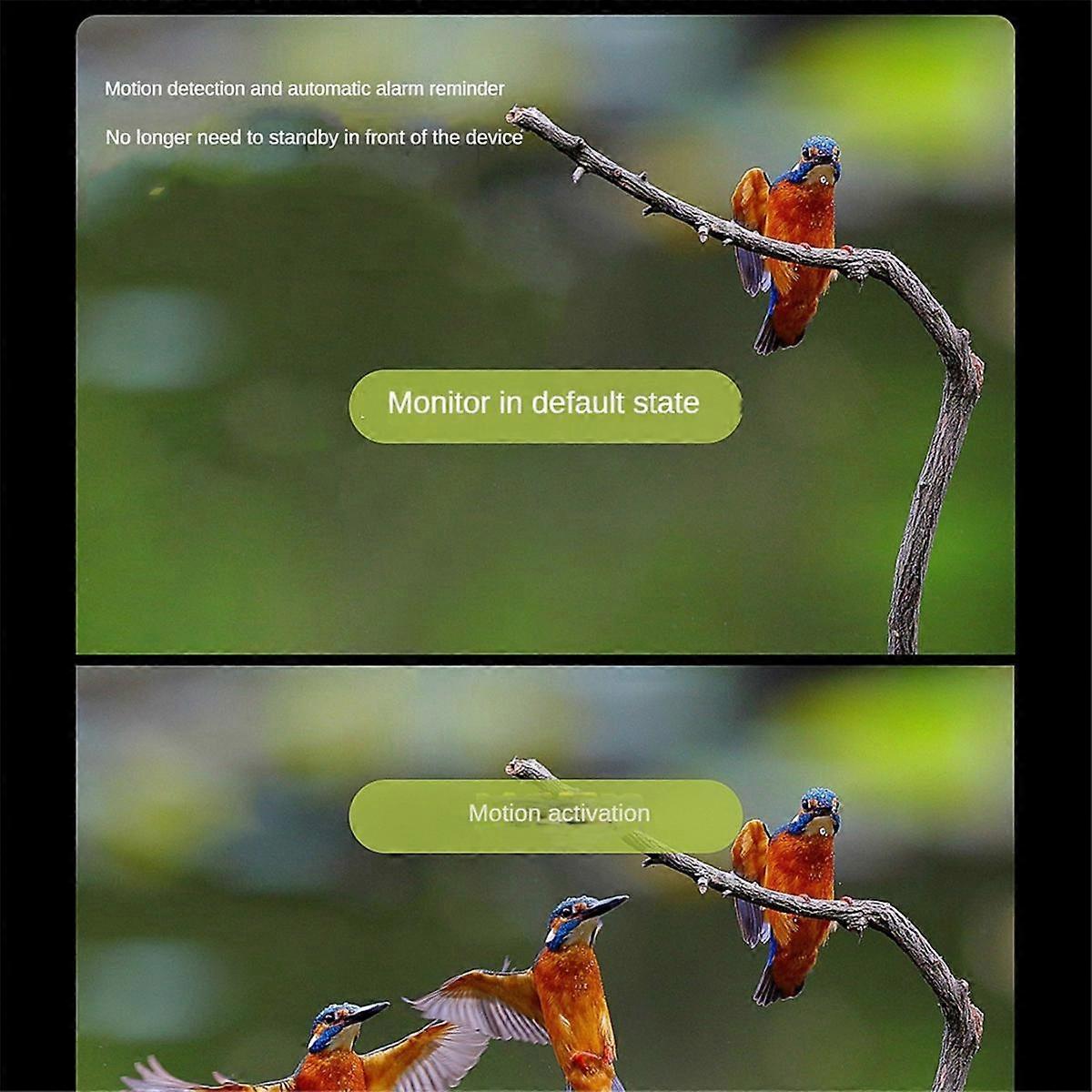 Bird Watching Telescope Camera Astronomical Telescope Dedicated WiFi Connection Phone 2MP HD Electronic Eyepiece